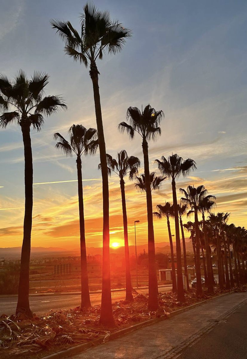 Aurora Suárez tweet media