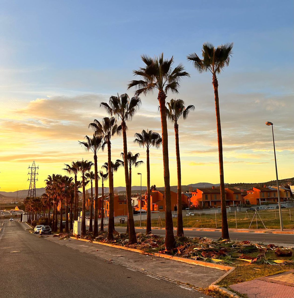 Aurora Suárez tweet media