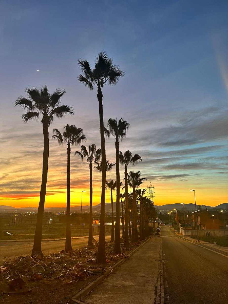 Aurora Suárez tweet media