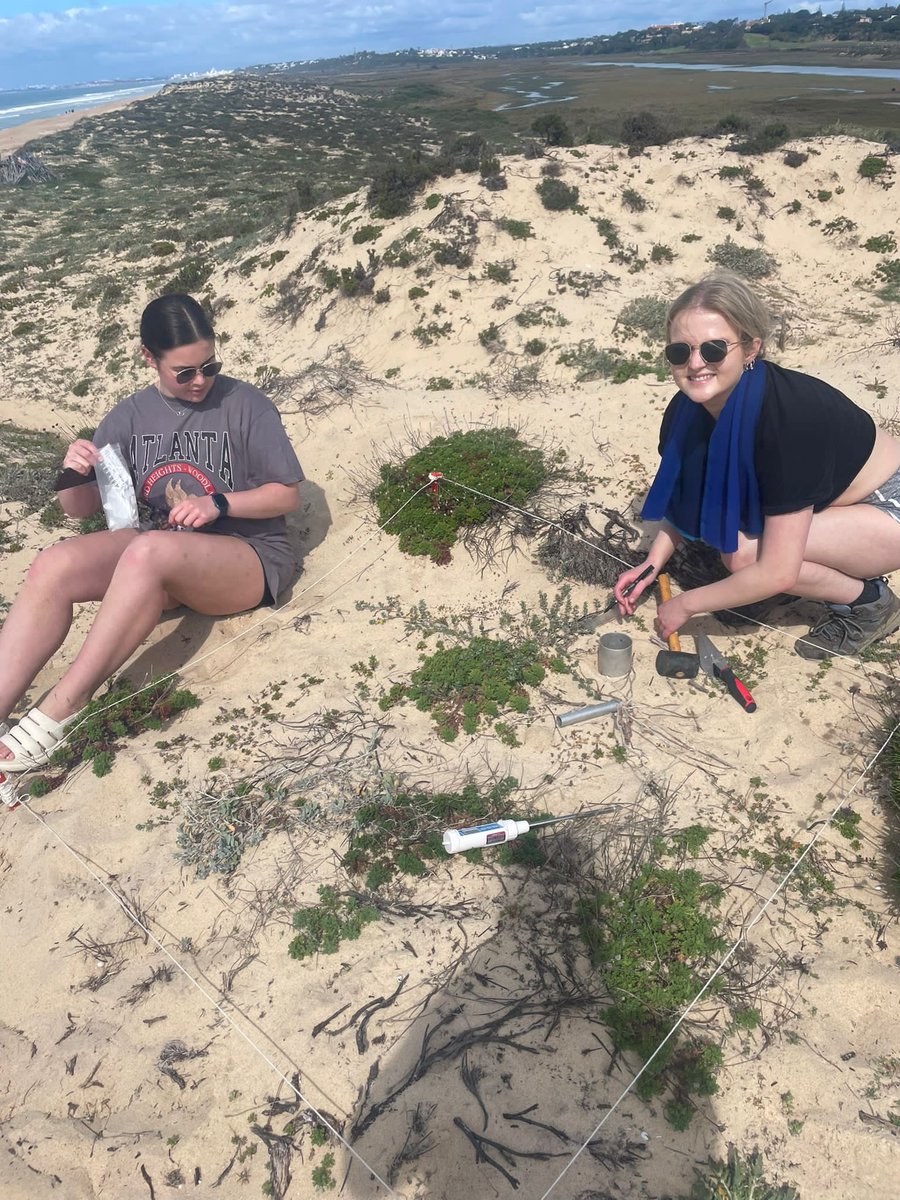 livunigeog's tweet photo. A sand dune ecosystem being explored for stability, ecology and functioning. #algarve #fieldclass https://t.co/oOL8Zn4Upt