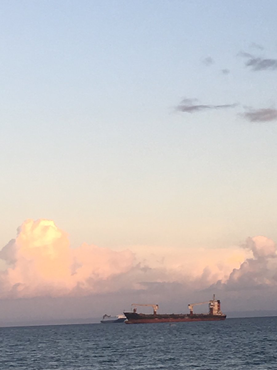 mintious's tweet image. 