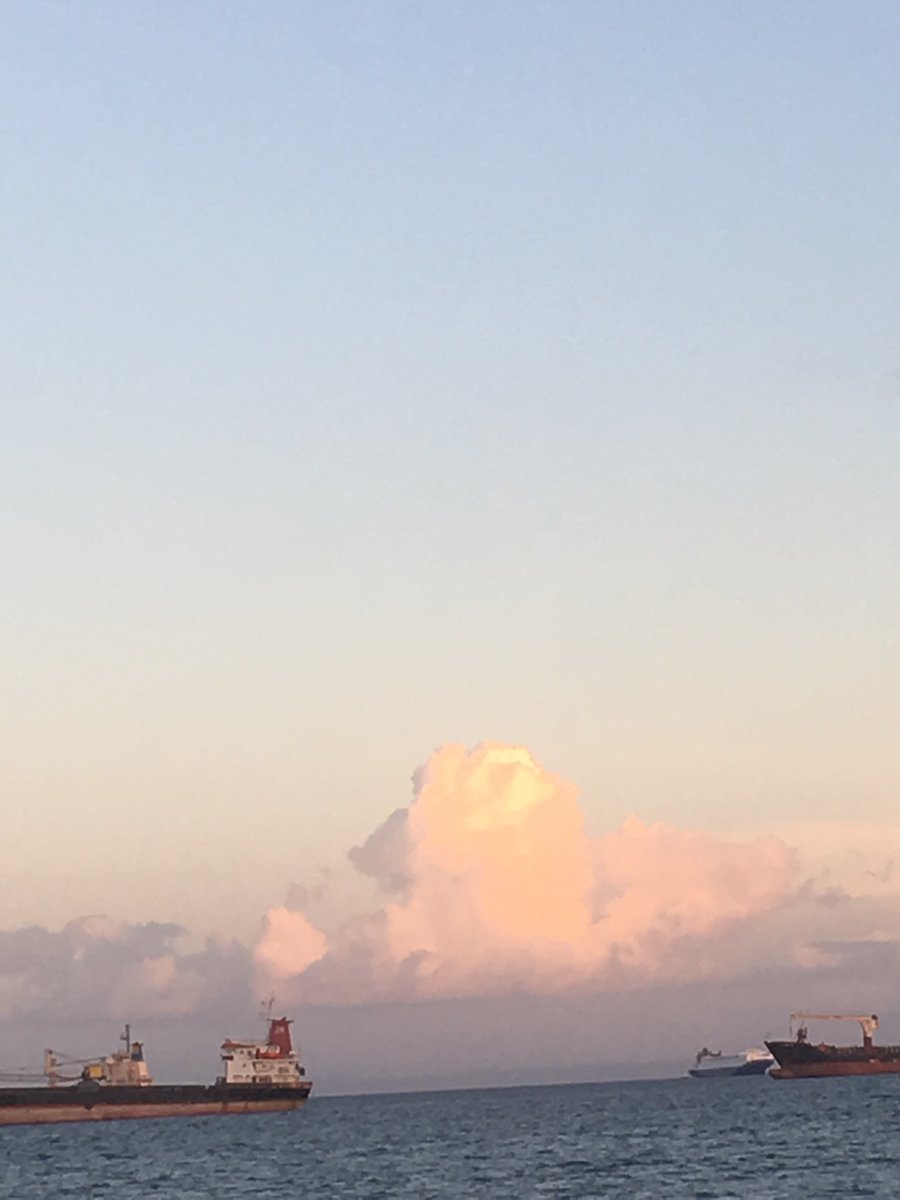 mintious's tweet image. 