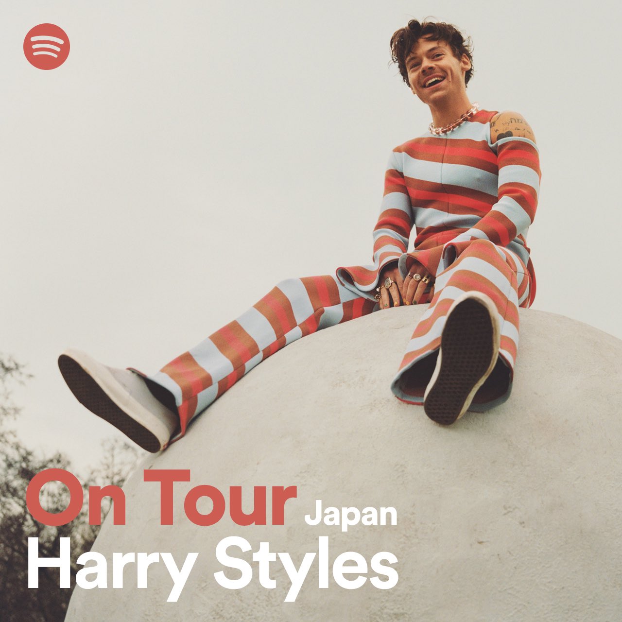 Harry styles AAA パス　2023 ツアー ハリー・スタイルズ Harry styles AAA パス2023 ツアー ハリー・スタイルズ