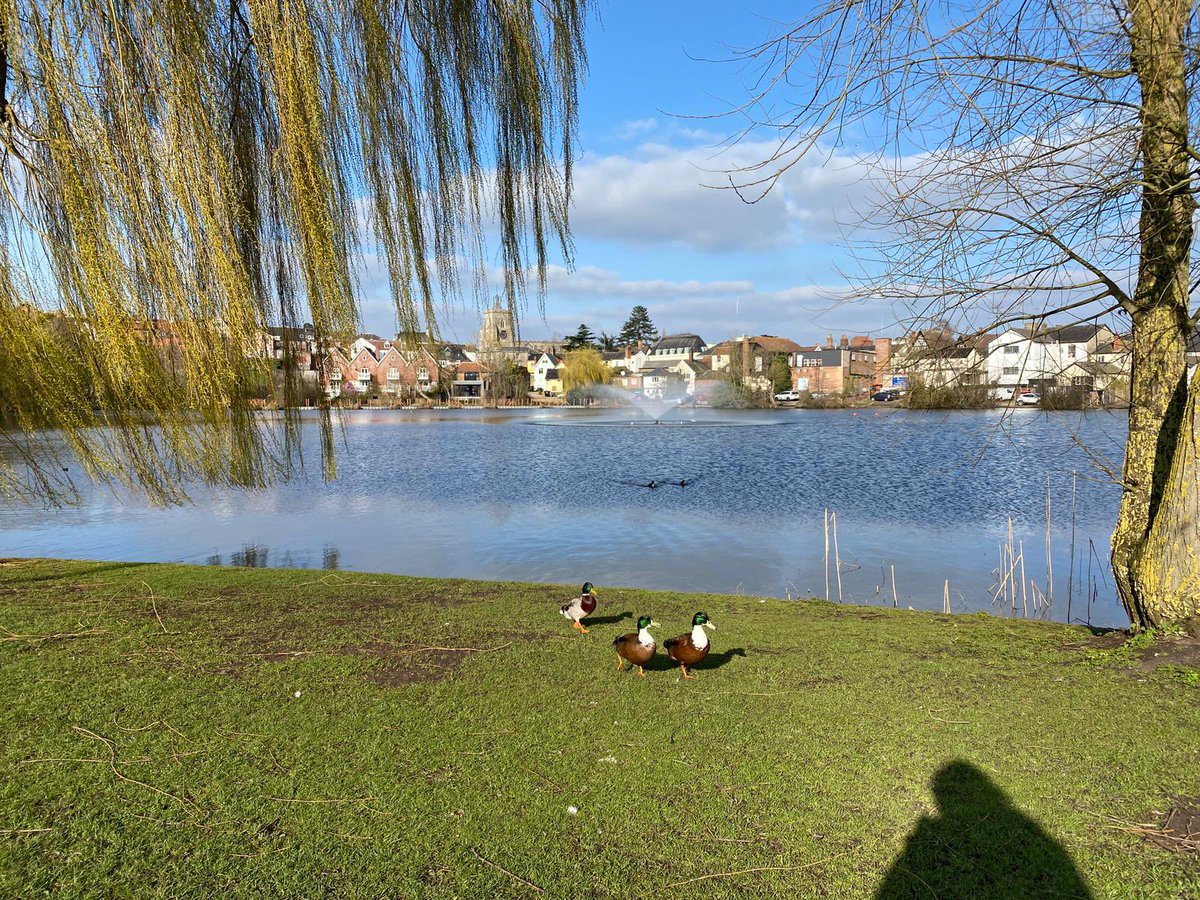 Pleased to say that my first, first author paper is now published!! link.springer.com/article/10.100…. This study summarises a 3.5 year lake monitoring survey at Diss Mere, Norfolk to identify the drivers of seasonal sediment deposition within the lake 💧☀️🚣‍♀️