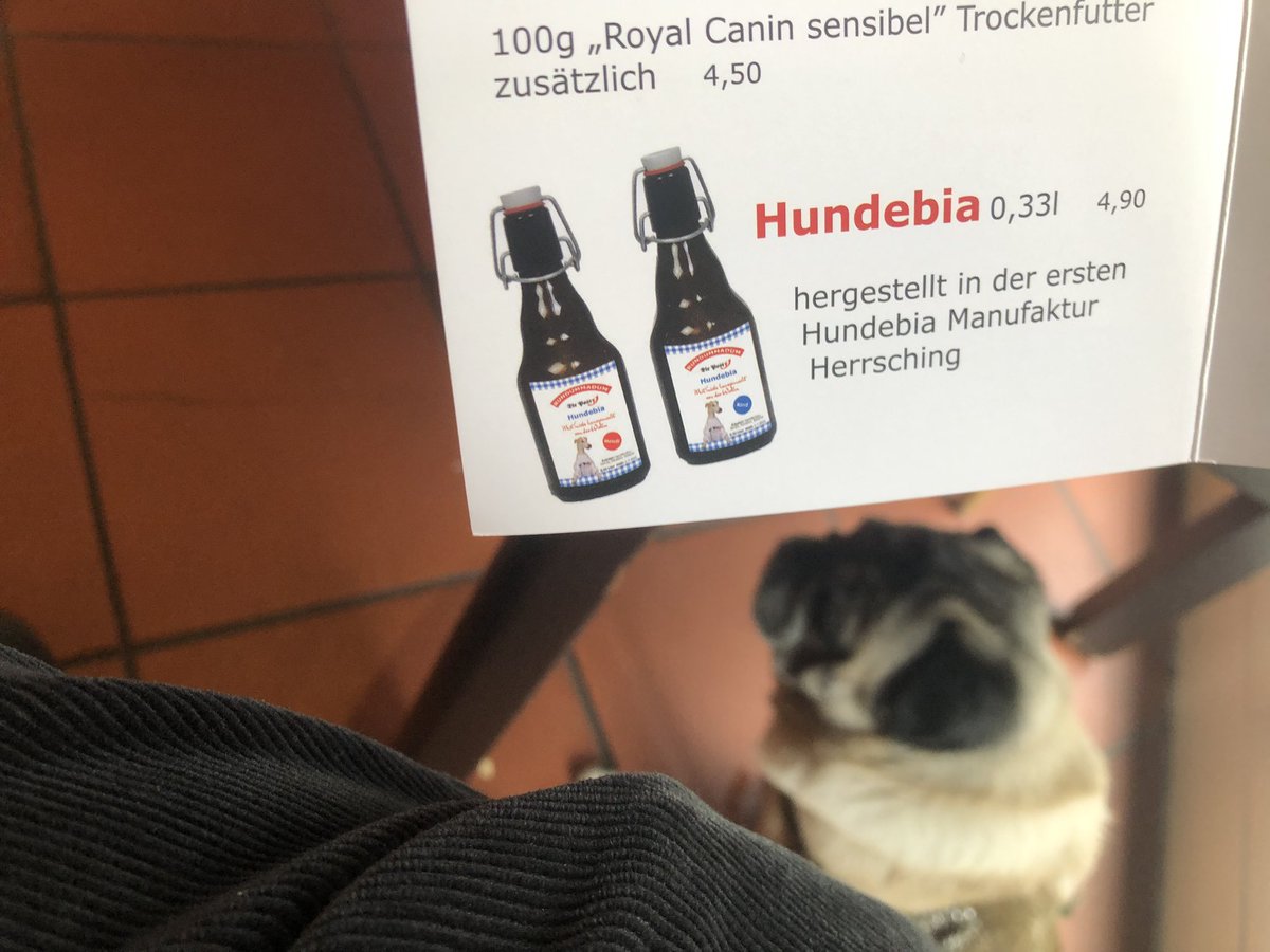 JangoandPablo's tweet photo. O zapft is 🍻🐶 https://t.co/HKfsOPUtpC