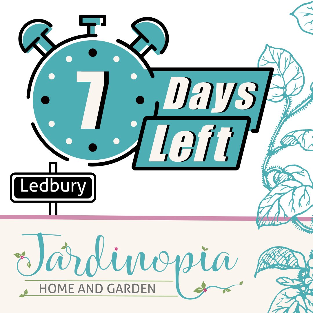 What's so special about Ledbury?
What's happening in Ledbury on April 1st? 
What is going on in the house of commons?

These are all questions we've been asked this week but shhh... it's a secret! 
What do you think is happening in Ledbury on April 1st?