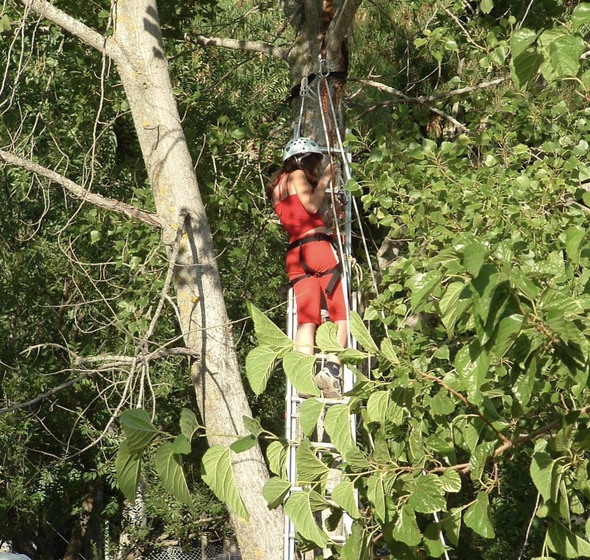Si buscas un viaje de estudios lleno de aventura y diversión donde tus hijos/as creen maravillosos recuerdos con sus compañeros/as ... ¡tenemos la solución perfecta para ti!

¡Llámanos y te preparamos un viaje ajustado a vuestras necesidades!

#activasur #viajedeestudios