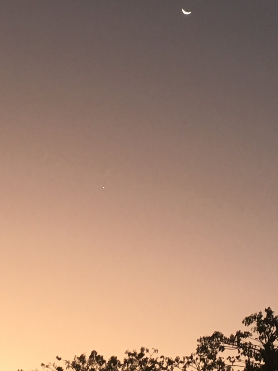 mintious's tweet image. 