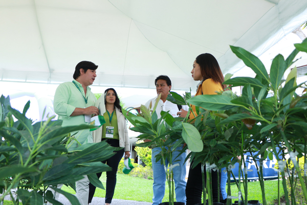 globalforumec's tweet photo. 📰 "Aguacate ecuatoriano cautiva al extranjero, con mas de 150 participantes de todo el país, se desarrollo el Congreso Internacional del Aguacate 🥑🥑. El evento reúne a los mejores expositores y emprendedores del Ecuador".  #DiarioElNorte https://t.co/aqeVjll1x4 https://t.co/8f46rPWrCF