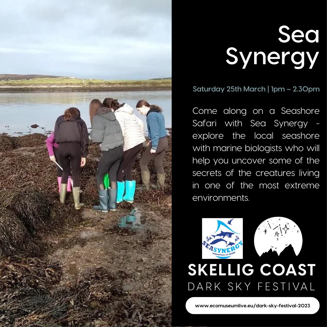 Seashore Safari with Sea Synergy from 1pm – 2.30pm. Meet at the IRD Carpark in Waterville
seasynergy.org/tours/skellig-… 
@sea_synergy #Watervile #SkelligCoast