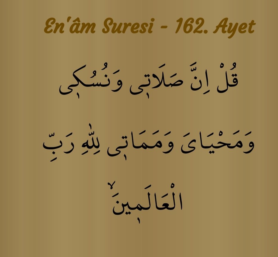 De ki "Şüphesiz benim namazım,ibadetlerim,hayatım ve ölümüm alemlerin Rabbi olan Allah içindir.