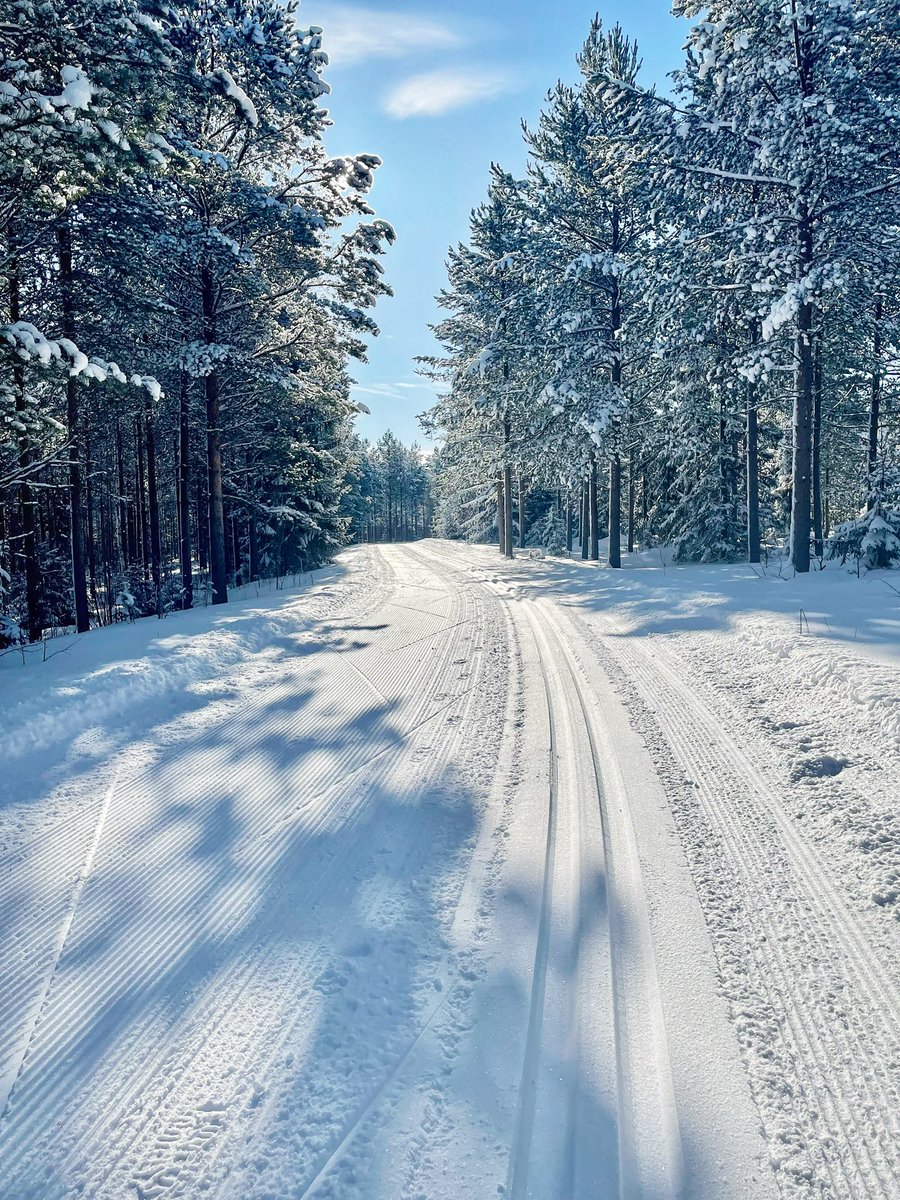 tliedes's tweet photo. 5/5 hiihtosää 🤩 https://t.co/fD8tfAywtX