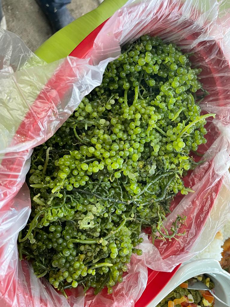 Ambassador MaryKay L. Carlson on Twitter "The Boodle Fight was amazing