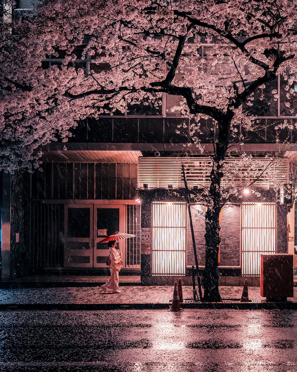 Junya Watanabe | 写真集『夜光水景』 tweet media