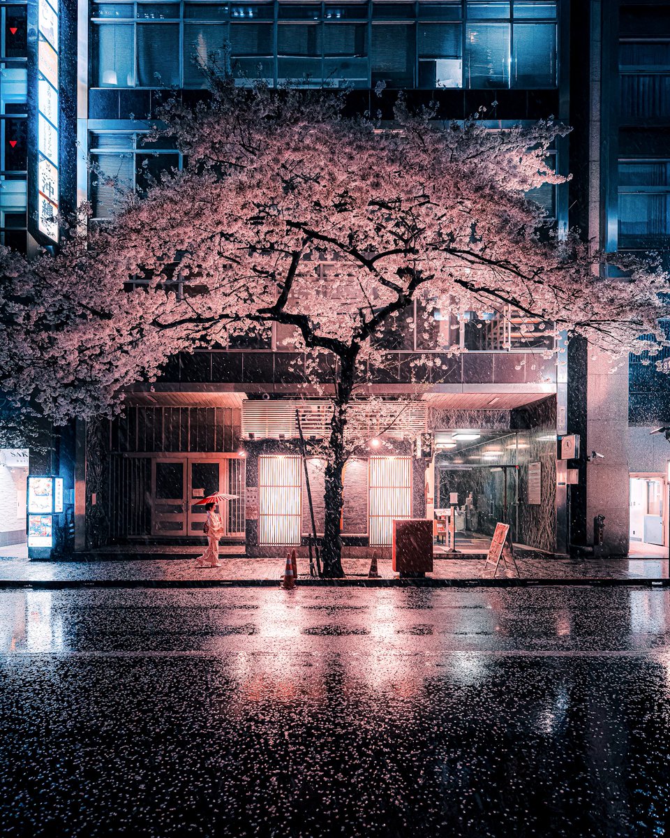 Junya Watanabe | 写真集『夜光水景』 tweet media