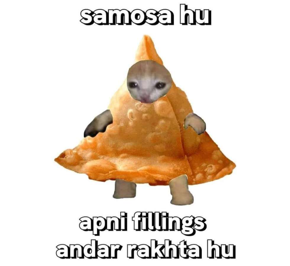 asjad_sheikh_'s tweet photo. I'm samosa, samosa is me😭😭 https://t.co/RrFVLrqp3q