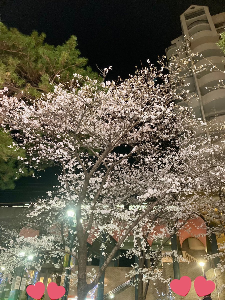 むつこ tweet media