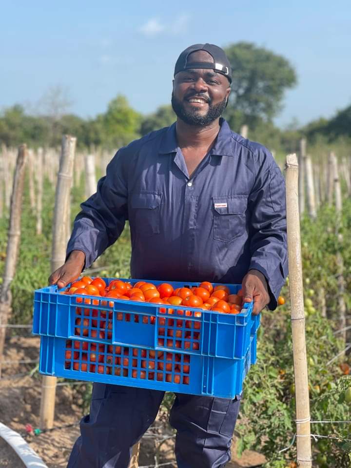 BenueFirst_'s tweet photo. Meet Akaazua Barnabas Wanger, the owner of Agro Hortiponics Integrated Farms. His farm specialises in large scale production of Tomatoes, Rice, Vegetables, Beans and yam through mechanized farming.

In 2022, Akaazua launched the first indigenous potato paste made from Benue https://t.co/oy5XNj3gUJ