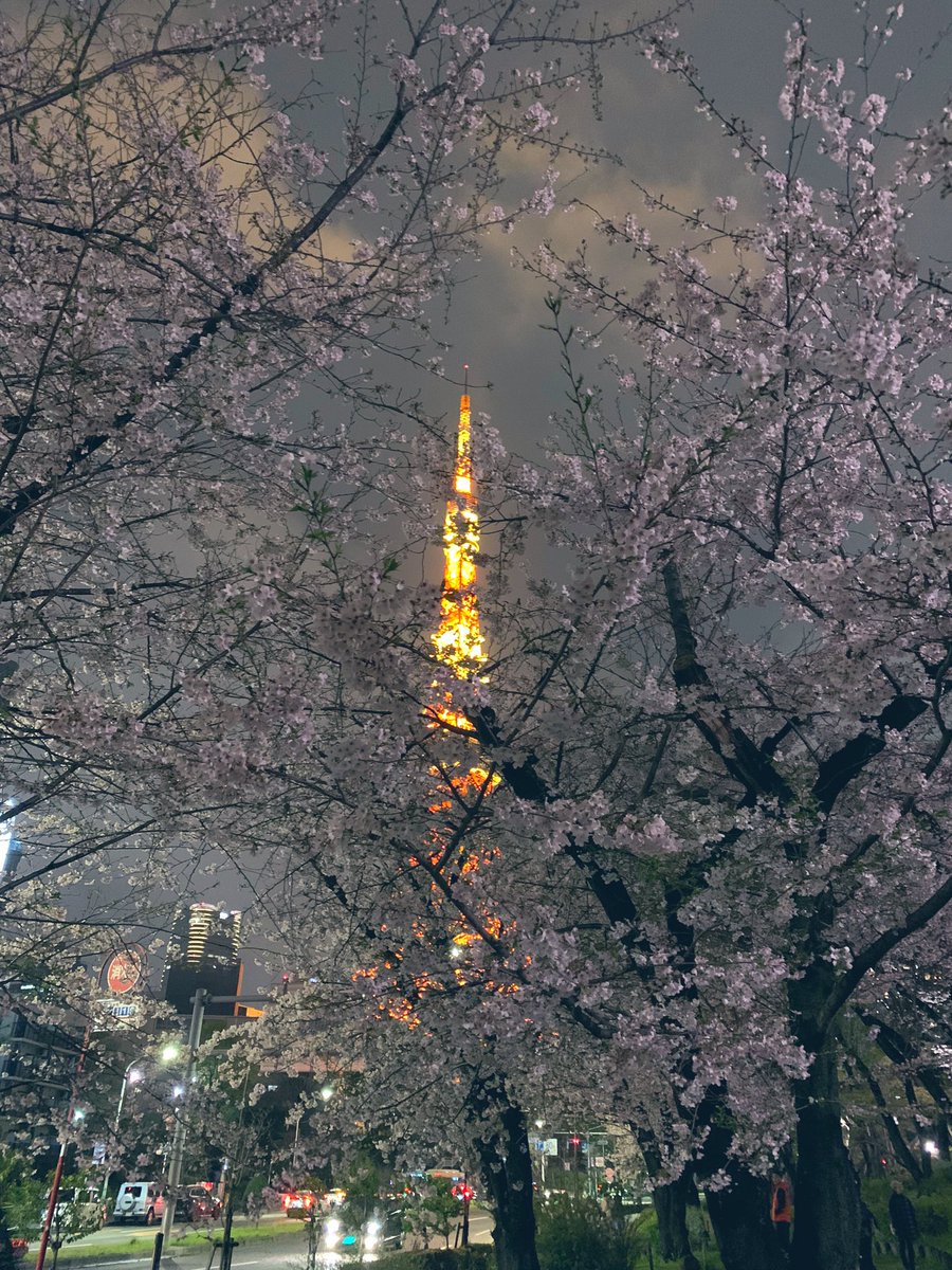 s_victorian's tweet photo. 東京タワー🗼と桜🌸
#イマソラ
#東京タワー
#お花見
#東京都港区
#TLを桜でいっぱいにしよう
#CherryBloss https://t.co/1vP7tu1w0V