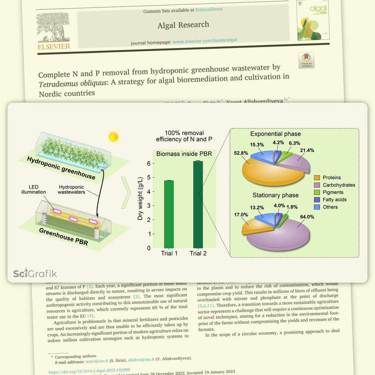 Congrats to the <a href="/PhotoMicrobes/">Photosynthetic Microbes</a> team 🇫🇮, led by @YagutRinne, on their new article in Algal Research Journal! Check out the article here: sciencedirect.com/science/articl…. 
It is always a pleasure to visually represent their research accomplishments. Thank you for using <a href="/SciGrafik/">Dmitry Shevela 🇺🇦</a> 🇸🇪!