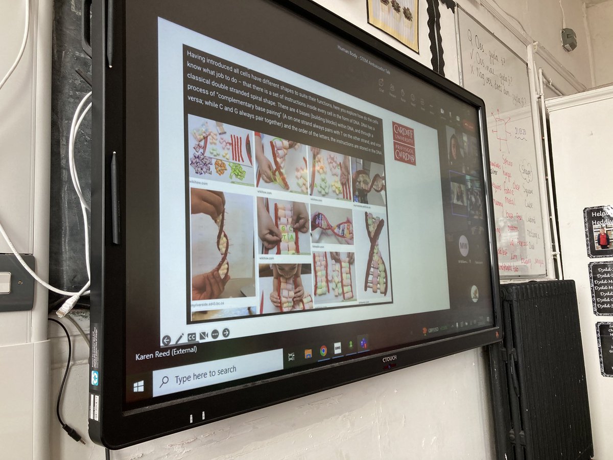 BubsyTownhill's tweet photo. Y5 enjoyed learning about cells and making their own cells out of plastercine. Thank you to Karen Reed for an informative and interesting session. Thanks to Techniquest for organising. #TCSST #tcsyear5 https://t.co/cH4k032JlQ