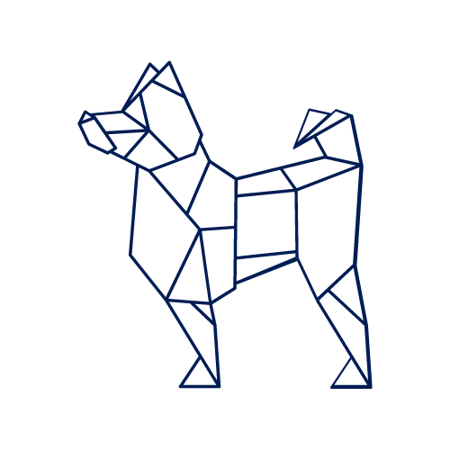 ShEra_INU's tweet photo. Just a lonely #shiba looking for like minded degens to take #zkSync by storm $SHERA 

Buy here: https://t.co/NiAhric211 https://t.co/TTJYVmP4Dy