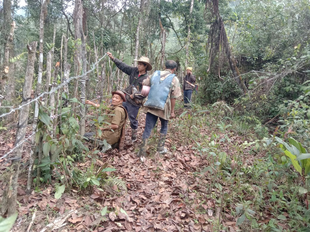 arunachaltimes_'s tweet photo. The annual ‘lutv selu’ (#mithun_barricade) in Dasi village in #UpperSubansiri was constructed recently. The villagers construct the #barricade every year to allow the #mithuns to graze within the barricaded area, so that the animals cannot damage others’ #crops. https://t.co/QcLnmJRI9F
