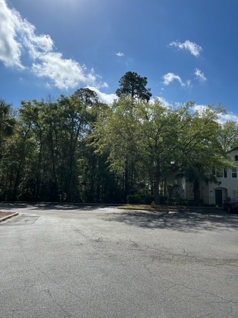 EdRealtorSC tweet picture