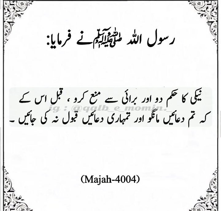 AllahSumair's tweet photo. #islamic #aespaAtSoundCheckTH #amira_daher #Pakistan #Lahore #capitec #Tariq https://t.co/RKgTRYICss