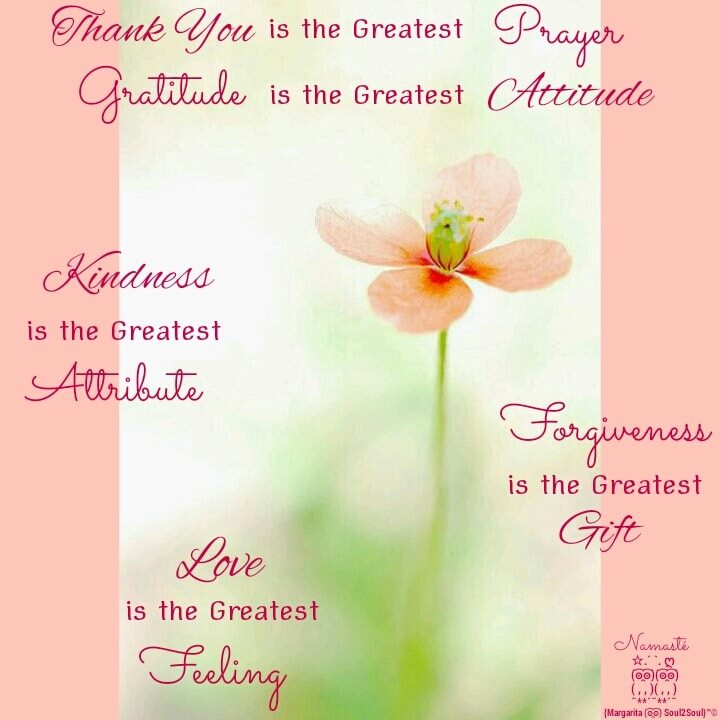 Thank you is the greatest prayer. Gratitude is the greatest attitude. Kindness is the greatest attribute. Forgiveness is the greatest gift. Love is the greatest feeling.
