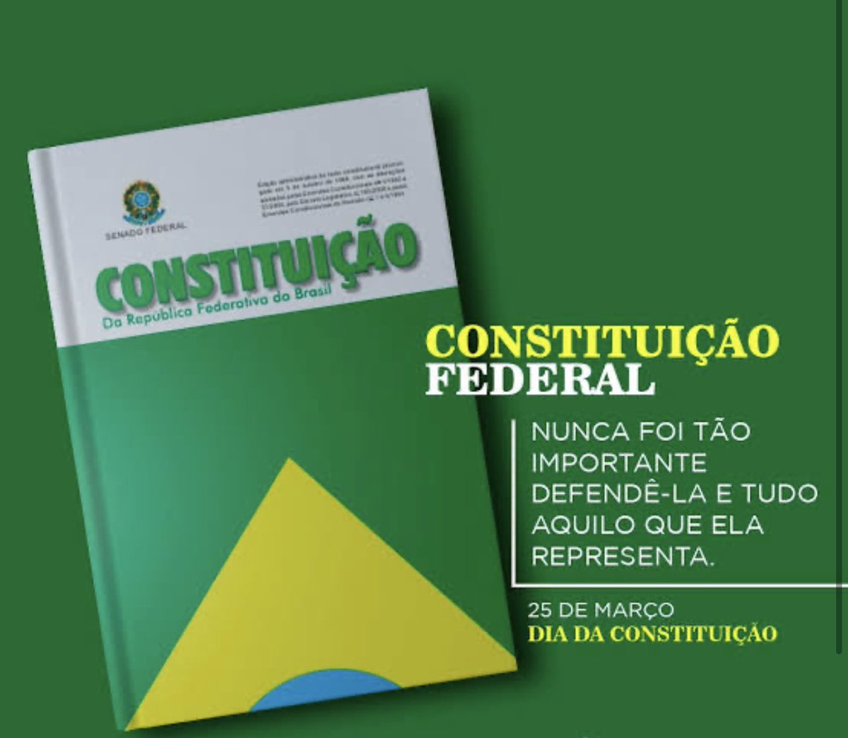 Em artigo, Sheyner Asfóra destaca papel da advocacia como sinônimo de  resistência