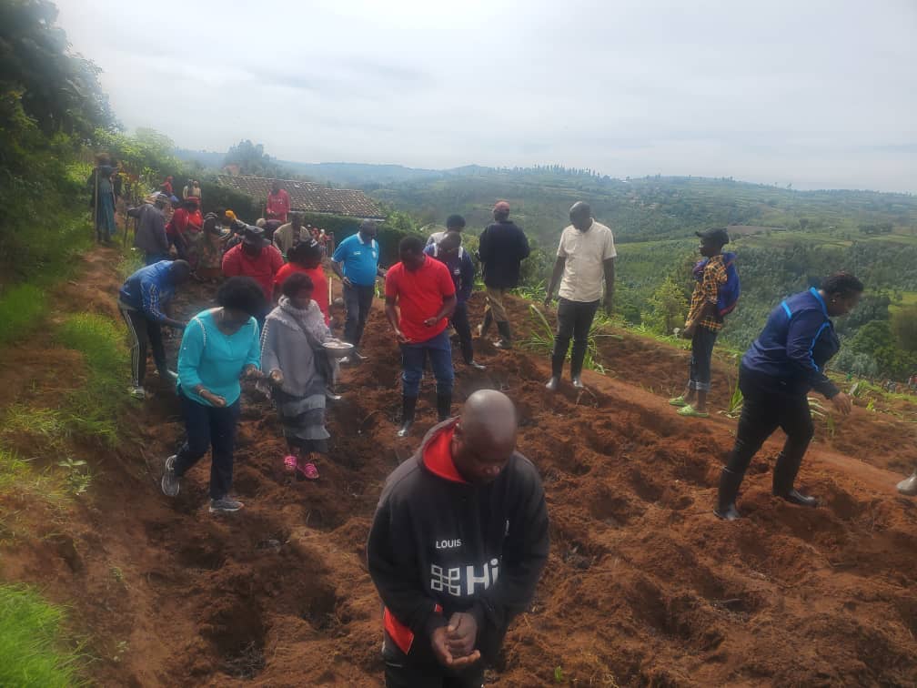RwandaParliamnt's tweet photo. Mu Murenge wa Busanze @NyaruguruDistr, Hon @hirwwa, Hon. @MUclaimu, ubuyobozi hamwe n'abaturage bateye imbuto y'ibirayi mu materasi y'indinganire, banasura Habinshuti Juvenal, umuhinzi-mworozi ntangarugero, ukora ifumbire agahinga urutoki, ibishyimbo n'ibigori. #Depitemubaturage https://t.co/zlakAbz9KI