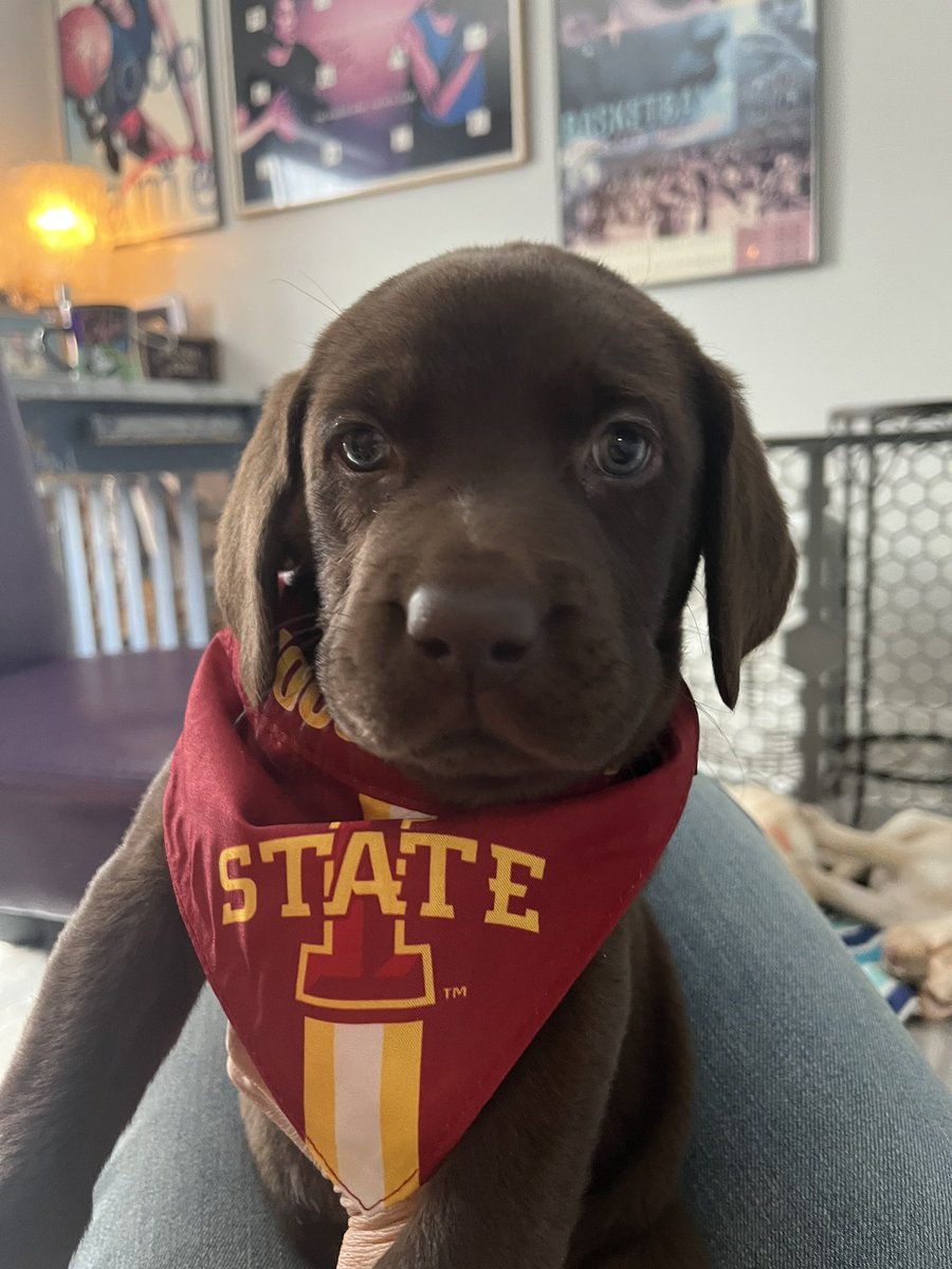 Pete just found out that Georgia will be joining the Cyclone team soon!