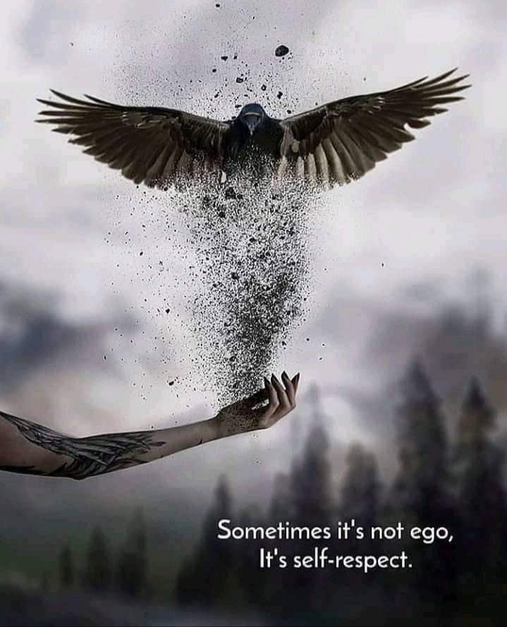 zahoor ahmed (@zahoorap1) on Twitter photo #FollowsEli💚
#FriendsFollback💖
<a href="/Abidin_Boryta02/">👨🍳 𝓚𝓾𝓵𝓲 𝓓𝓪𝓹𝓾𝓻 🇮🇩</a>
<a href="/AbidinBoryta/">🕋𝓐𝓫𝓲𝓭𝓲𝓷 𝓑𝓸𝓻𝔂𝓽𝓪 🇮🇩</a>
@GRAHAM15583070
<a href="/TheEndOfJAPAN1/">Vail : ヴェイル (The End Of Japan)</a>
<a href="/vinaymishra1961/">VINAY</a>
<a href="/zahoorap1/">zahoor ahmed</a>
<a href="/AbidinBoryta_/">🌈 𝓐𝓫𝓲𝓭𝓲𝓷 𝓑𝓸𝓻𝔂𝓽𝓪 🇲🇨</a>
<a href="/IfbSdv/">#FriendsFollowers</a> <a href="/Da__Eliz/">Eli👸</a>
<a href="/witchhusband/">Julian Haynes</a>
<a href="/TNTLWATH/">Fin</a>
<a href="/WALLI27/">Jhon f perez🎶🎸🚵☯</a>
<a href="/xmymxx/">𝓶🐰ྀི</a>
<a href="/WidzDj/">꧁🆆🅸🅳🅸🅰🅽🅰🅽🆃🅾꧂</a>
<a href="/majd9757/">M</a>
<a href="/ZagoZago3/">Josefina2</a>
<a href="/ToteronT/">tote Cepgreen</a>
<a href="/otrogoga60/">ᴏꜱᴄᴀʀ ɢᴏᴍᴇᴢ ɢᴀʀᴄɪᴀ</a>
<a href="/DiosasdeR/">DiosasdeRiver2 🔴⚪🔴</a>
<a href="/sBhupen52/">SpectrumGrandpa</a>
<a href="/_Dara0/">Dara👑#FollowsEli 100%🇧🇷</a> #FollowsEli💚
#FriendsFollback💖
<a href="/Abidin_Boryta02/">👨🍳 𝓚𝓾𝓵𝓲 𝓓𝓪𝓹𝓾𝓻 🇮🇩</a>
<a href="/AbidinBoryta/">🕋𝓐𝓫𝓲𝓭𝓲𝓷 𝓑𝓸𝓻𝔂𝓽𝓪 🇮🇩</a>
@GRAHAM15583070
<a href="/TheEndOfJAPAN1/">Vail : ヴェイル (The End Of Japan)</a>
<a href="/vinaymishra1961/">VINAY</a>
<a href="/zahoorap1/">zahoor ahmed</a>
<a href="/AbidinBoryta_/">🌈 𝓐𝓫𝓲𝓭𝓲𝓷 𝓑𝓸𝓻𝔂𝓽𝓪 🇲🇨</a>
<a href="/IfbSdv/">#FriendsFollowers</a> <a href="/Da__Eliz/">Eli👸</a>
<a href="/witchhusband/">Julian Haynes</a>
<a href="/TNTLWATH/">Fin</a>
<a href="/WALLI27/">Jhon f perez🎶🎸🚵☯</a>
<a href="/xmymxx/">𝓶🐰ྀི</a>
<a href="/WidzDj/">꧁🆆🅸🅳🅸🅰🅽🅰🅽🆃🅾꧂</a>
<a href="/majd9757/">M</a>
<a href="/ZagoZago3/">Josefina2</a>
<a href="/ToteronT/">tote Cepgreen</a>
<a href="/otrogoga60/">ᴏꜱᴄᴀʀ ɢᴏᴍᴇᴢ ɢᴀʀᴄɪᴀ</a>
<a href="/DiosasdeR/">DiosasdeRiver2 🔴⚪🔴</a>
<a href="/sBhupen52/">SpectrumGrandpa</a>
<a href="/_Dara0/">Dara👑#FollowsEli 100%🇧🇷</a>