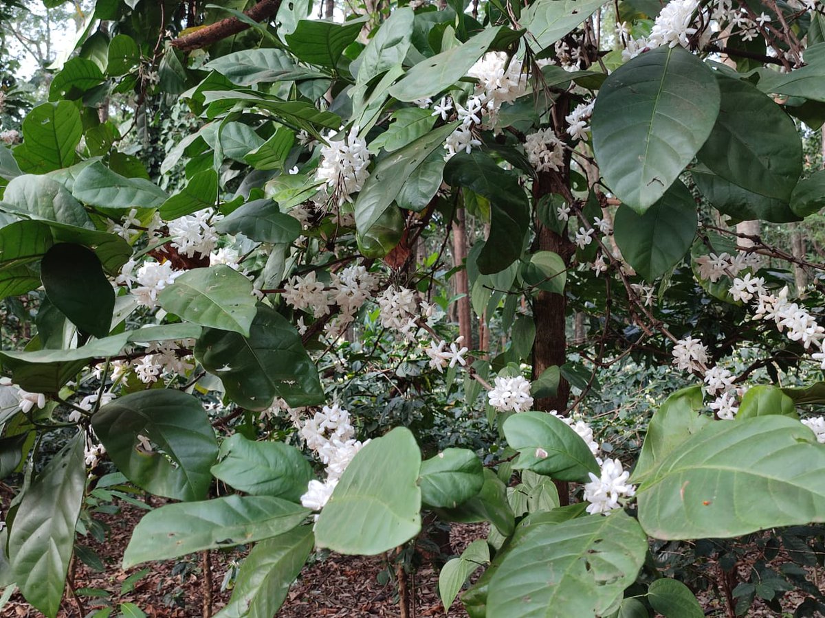 Abdaal Akhtar | ଅବ୍ଦାଲ୍ ଅଖ୍.ତର୍ tweet media