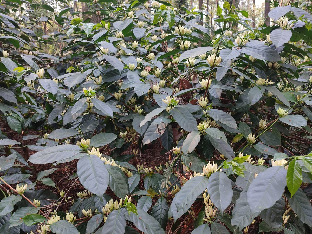 Abdaal Akhtar | ଅବ୍ଦାଲ୍ ଅଖ୍.ତର୍ tweet media