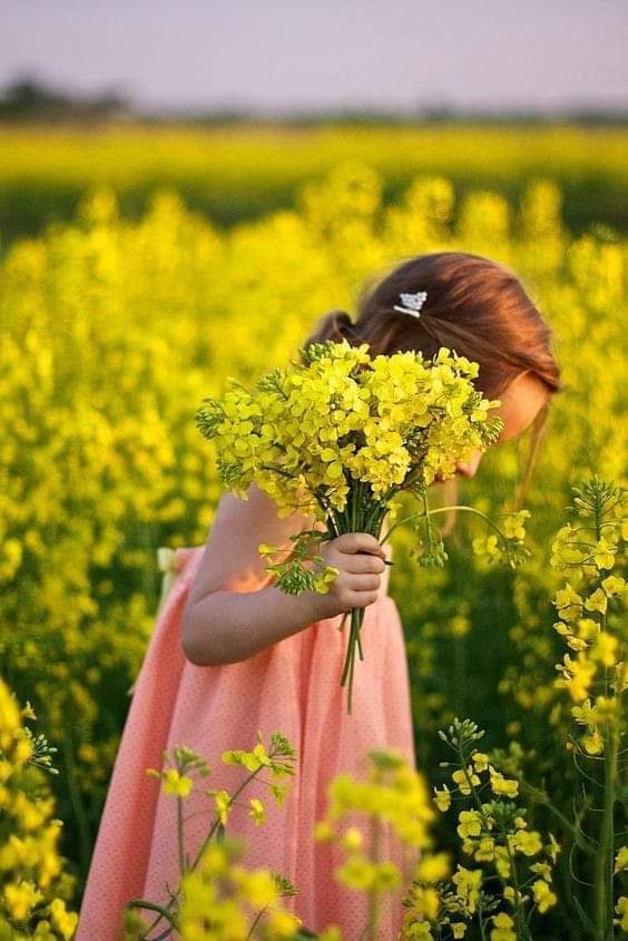 انسان کے اب تک کے تمام گھڑے ہوئے مفروضوں میں سب سے بڑا احمقانہ مطالبہ یہ ہے کہ کوئی ہم سے محبت کرے🌺🌺