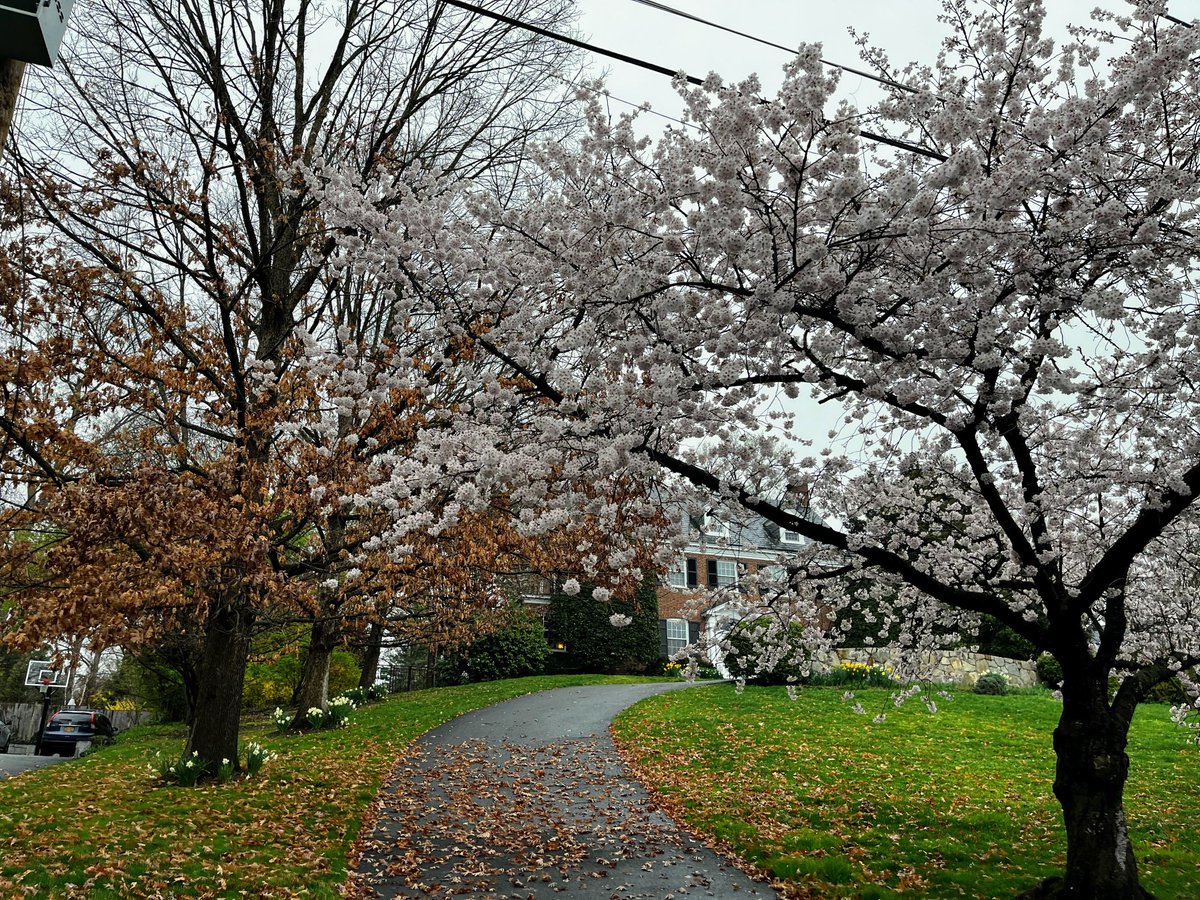 seemonitor's tweet photo. The place where Spring meets Fall https://t.co/XgiaNgvTbP