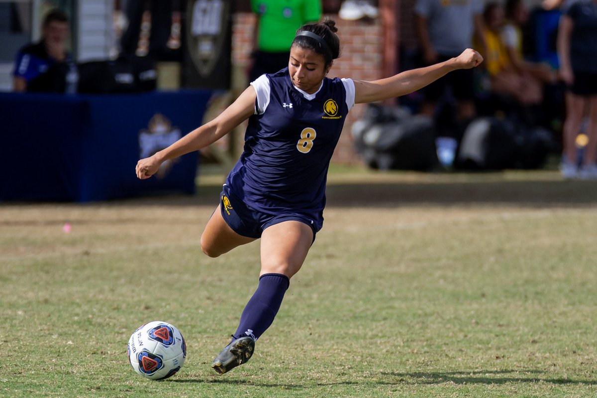 Lions face SFA in a spring exhibition at 1 p.m. today in Nacogdoches! #UnleashTheBeast