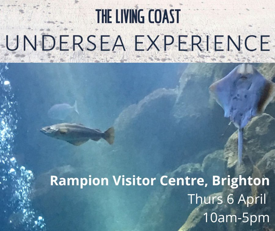LivingCoastUK's tweet photo. Try diving without getting wet!
Come try a family-friendly, free, educational VR 360 film experience at Rampion Visitor Centre - Brighton
📆6th April 10am - 5pm 
 More info on this &amp; other Easter events
https://t.co/12eTWN4LvU

 #sussex #rampion #whatson #easterholidays #free #vr https://t.co/GeR5LgDL9v