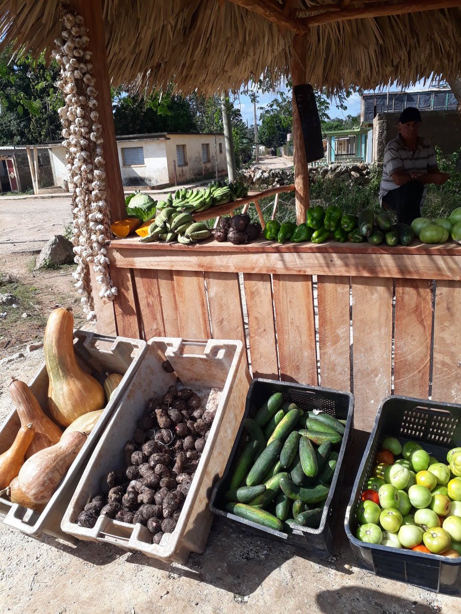 Variadas Ofertas en el punto de venta de carretera de la CCS "José Díaz", a la entrada de Bolondrón, en #PedroBetancourtEnVictoria. Todo en función del bienestar del pueblo. #MatancerosEnVictoria. #MejorEsPosible  <a href="/JanyMartnez10/">Hanny Martínez</a> <a href="/IzquierdoAlons1/">Livan Izquierdo Alonso</a> <a href="/mariofsabines/">Mario Sabines Lorenzo</a> <a href="/SuselyMorfaG/">Susely Morfa González</a>