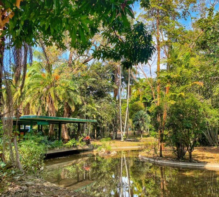 Hoy fui un momentico a llevarle un libro a Mayu a Las Corocoras y me quedé hora y cuarto tomando café, viendo el libro, los pájaros, las matas. 

La magia me atrapó.