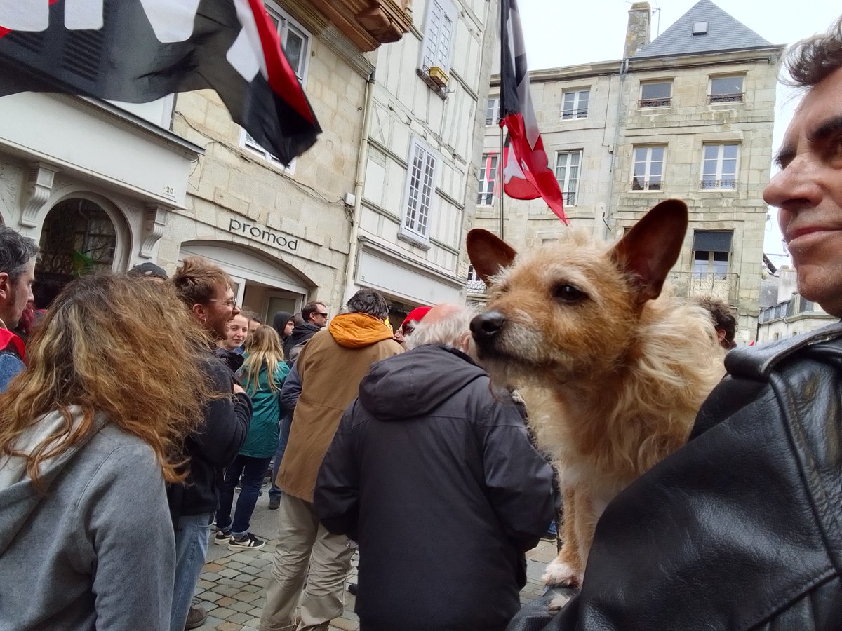 salutlescocos's tweet photo. Nouvelle #manifestation contre la #ReformeDesRetraites et le 49.3 ce samedi à #Quimper et soutien à l'école d'Art #EESAB menacée @EESAB_Q #BeMoreFrench avant la #Manif28Mars #finistere #bretagne https://t.co/QltU6KzYCs