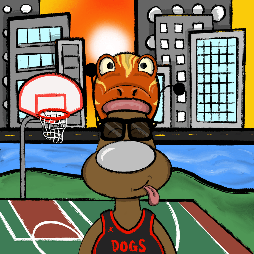 Patches🏴‍☠️ tweet media