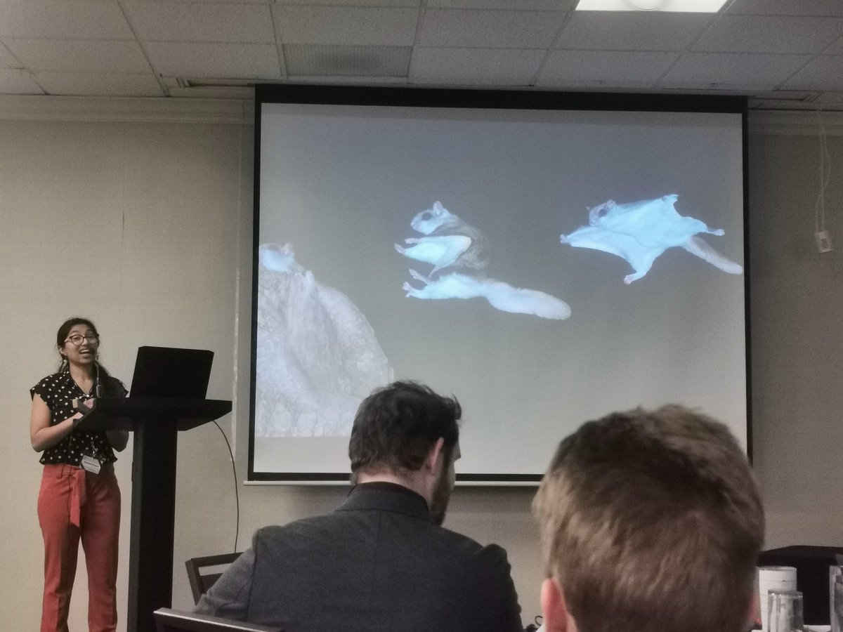 Dr. Sasha Newar tweet media