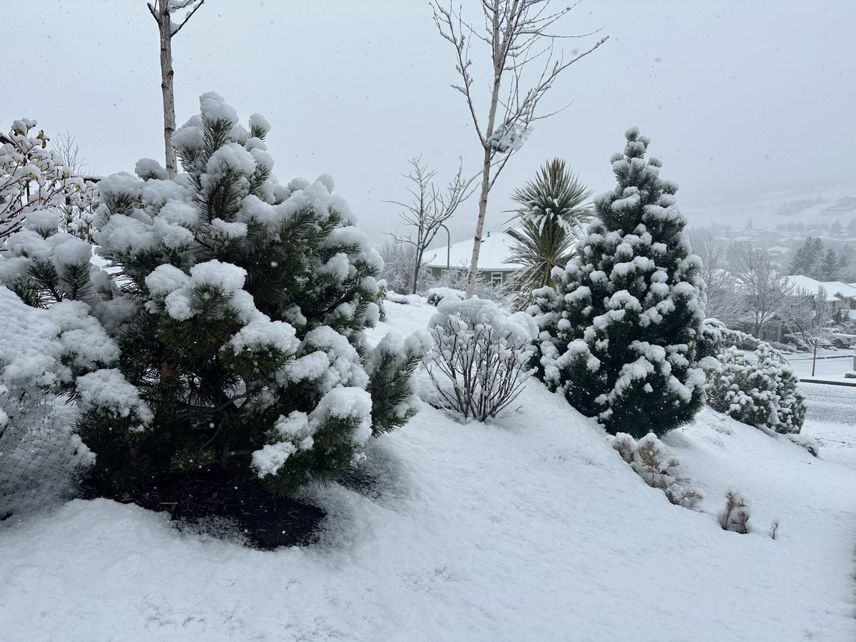 Christine Riley tweet media