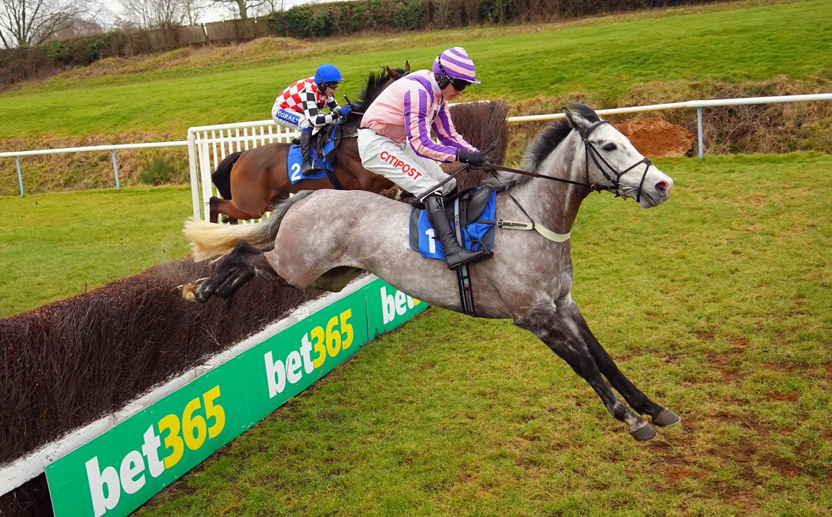 Leicester Racecourse tweet media