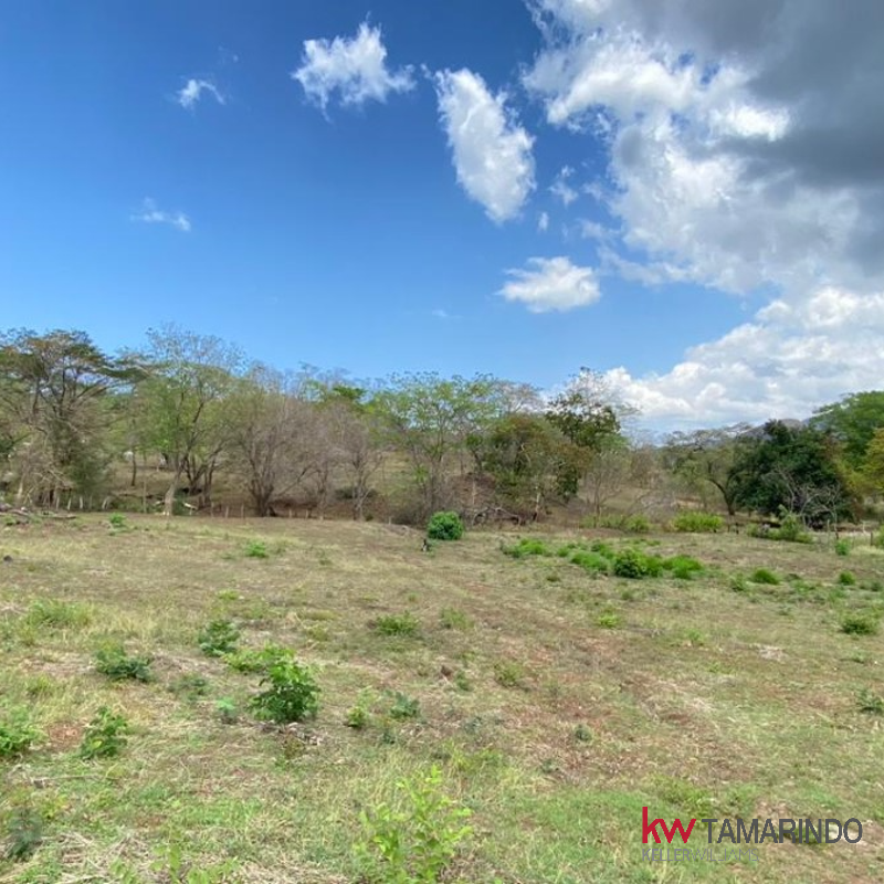myrealtybutler's tweet photo. 🚨 Don't miss out on this opportunity! Fire sale lot in Huacas, just minutes away from beautiful beaches and top-rated schools. 🌴🏫 Contact us today for more information. #Huacas #firesale #development #beaches #schools https://t.co/pBgkiI6xpG