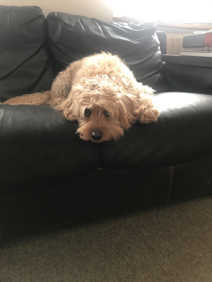 Simon Zagorski-Thomas tweet media