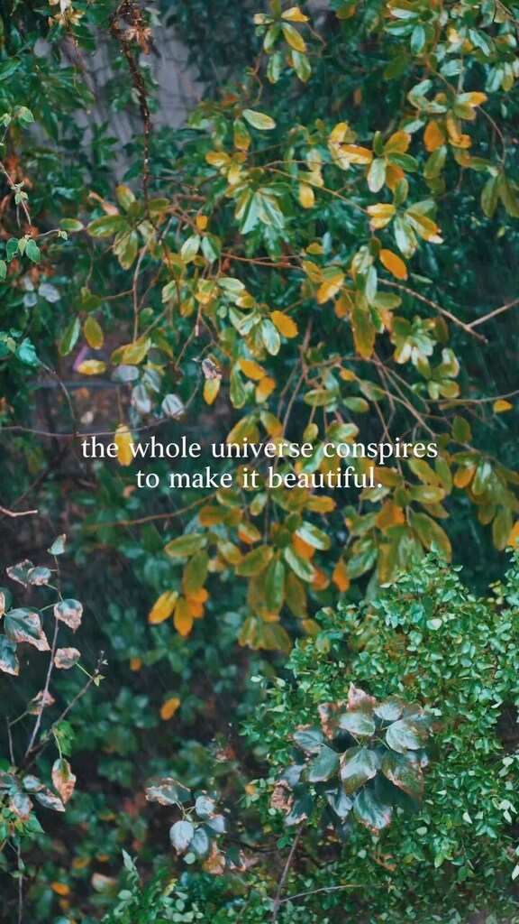 Scription tweet media